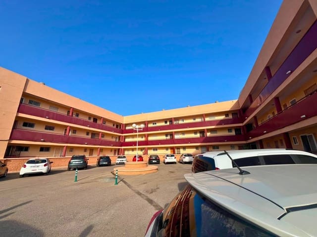 Apartamento de 2 habitaciones en Mil Palmeras, Pilar de la Horadada en alquiler - 650 € (Ref: 10033123)