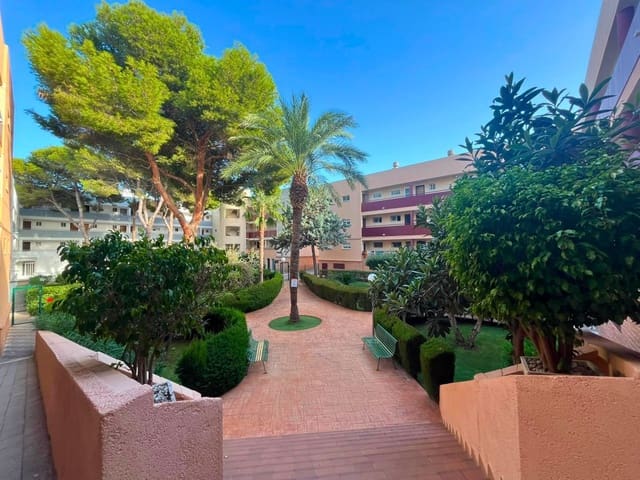 Apartamento de 2 habitaciones en Mil Palmeras, Pilar de la Horadada en alquiler - 650 € (Ref: 10033123)