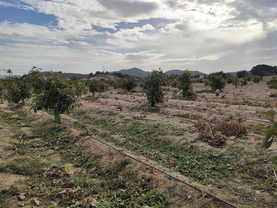 Bungalow zu verkaufen in La Villajoyosa / Vila Joiosa - 1.095.000 € (Ref: 8154859)