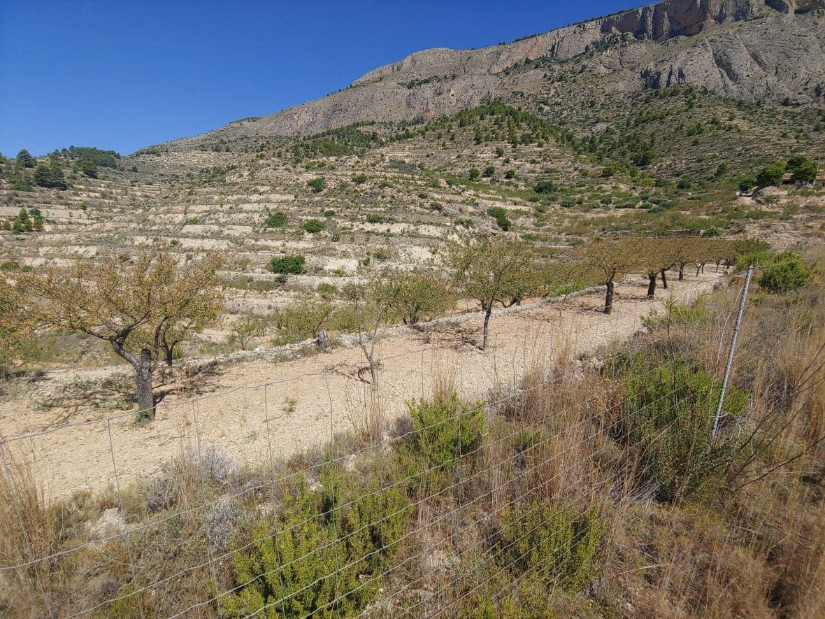 Terrain à Bâtir à vendre à Sella - 199 000 € (Ref: 8576287)