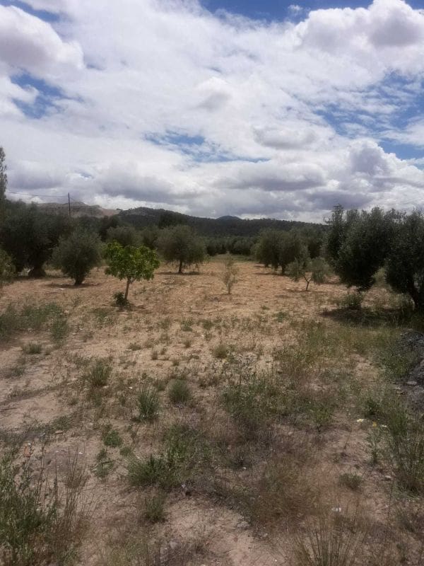 3 soveværelse Finca/Landehus til salg i Pinoso - € 90.000 (Ref: 9370372)