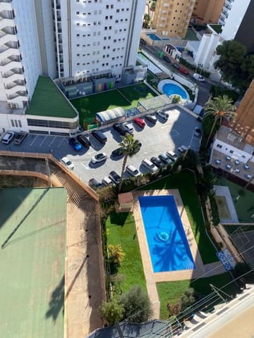 1 bedroom Flat for rent in Juzgados - Plaza de Toros, Benidorm with pool - € 995 (Ref: 9518821)