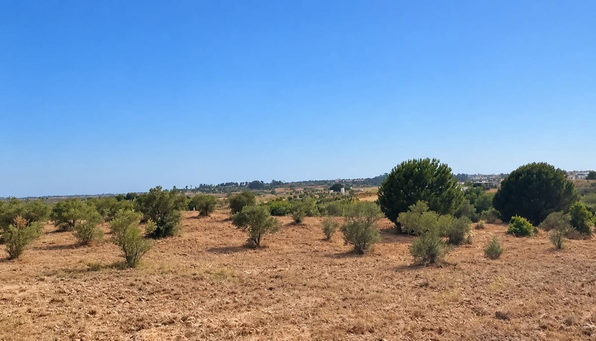 Rakentamaton maa myytävänä paikassa La Palma del Condado - 28 000 € (Ref: 10142523)