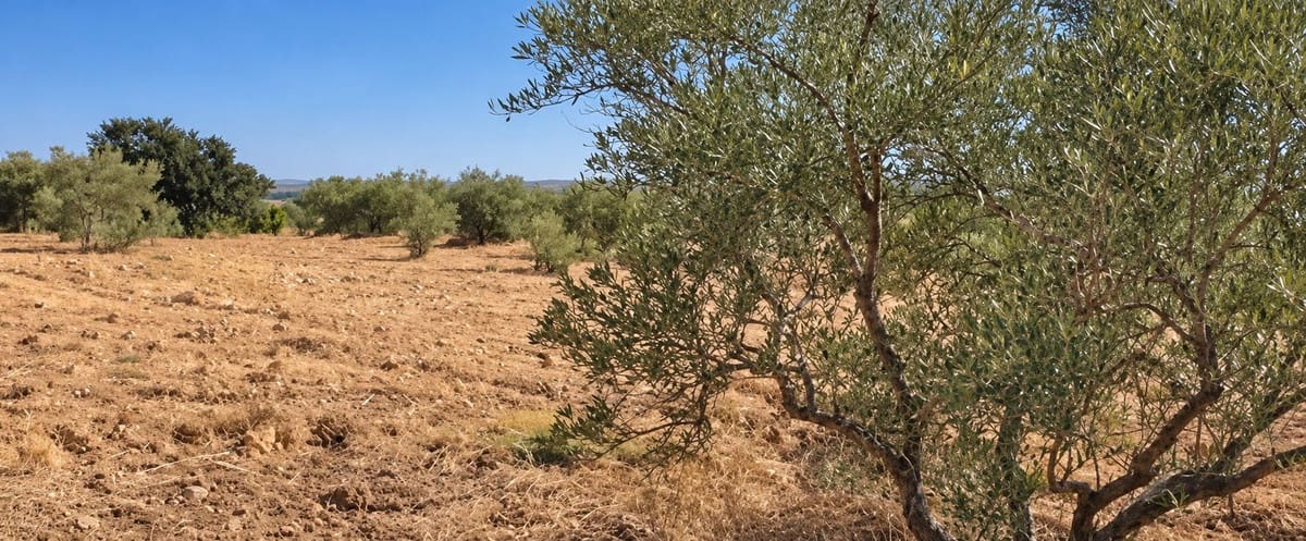 Rakentamaton maa myytävänä paikassa La Palma del Condado - 28 000 € (Ref: 10142523)