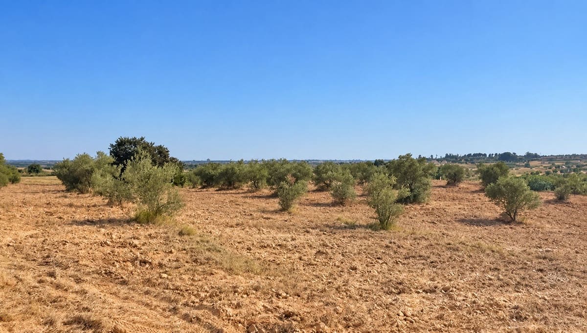 Rakentamaton maa myytävänä paikassa La Palma del Condado - 28 000 € (Ref: 10142523)
