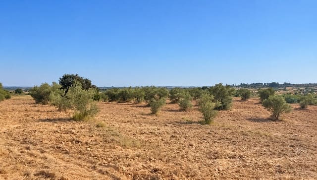 Rakentamaton maa myytävänä paikassa La Palma del Condado - 28 000 € (Ref: 10142523)