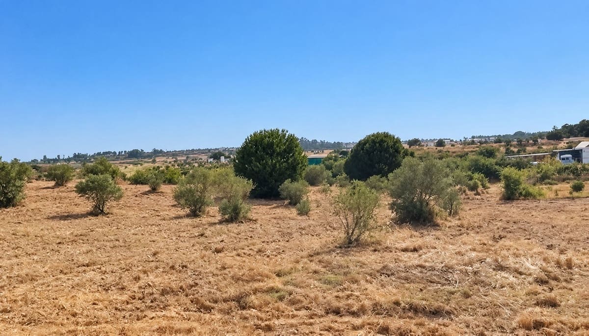 Rakentamaton maa myytävänä paikassa La Palma del Condado - 28 000 € (Ref: 10142523)