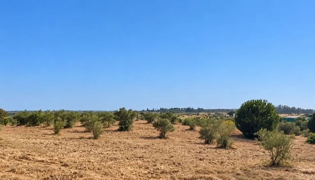 Rakentamaton maa myytävänä paikassa La Palma del Condado - 28 000 € (Ref: 10142523)