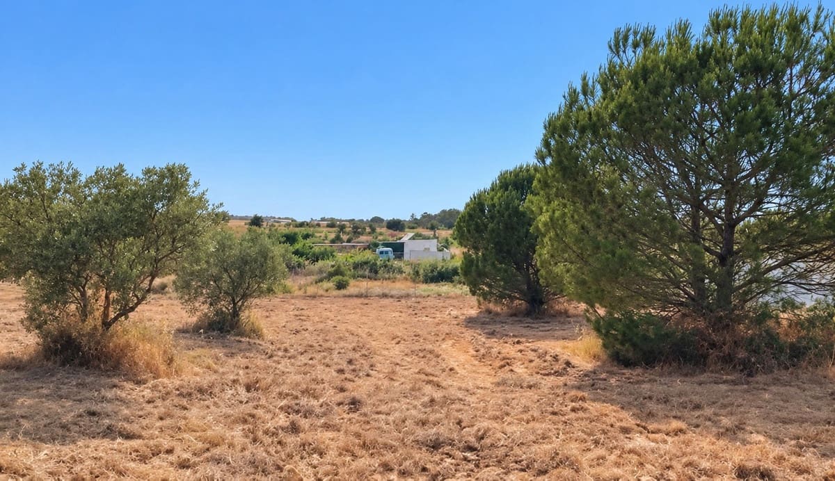 Rakentamaton maa myytävänä paikassa La Palma del Condado - 28 000 € (Ref: 10142523)