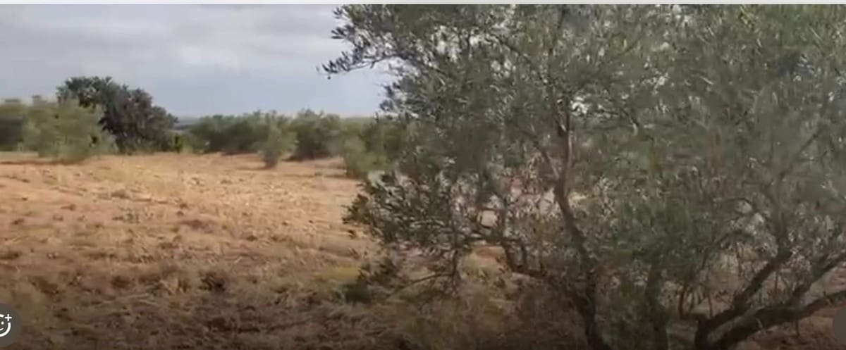 Terrain à Bâtir à vendre à La Palma del Condado - 28 000 € (Ref: 9699199)