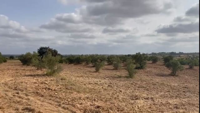 Terrain à Bâtir à vendre à La Palma del Condado - 28 000 € (Ref: 9699199)