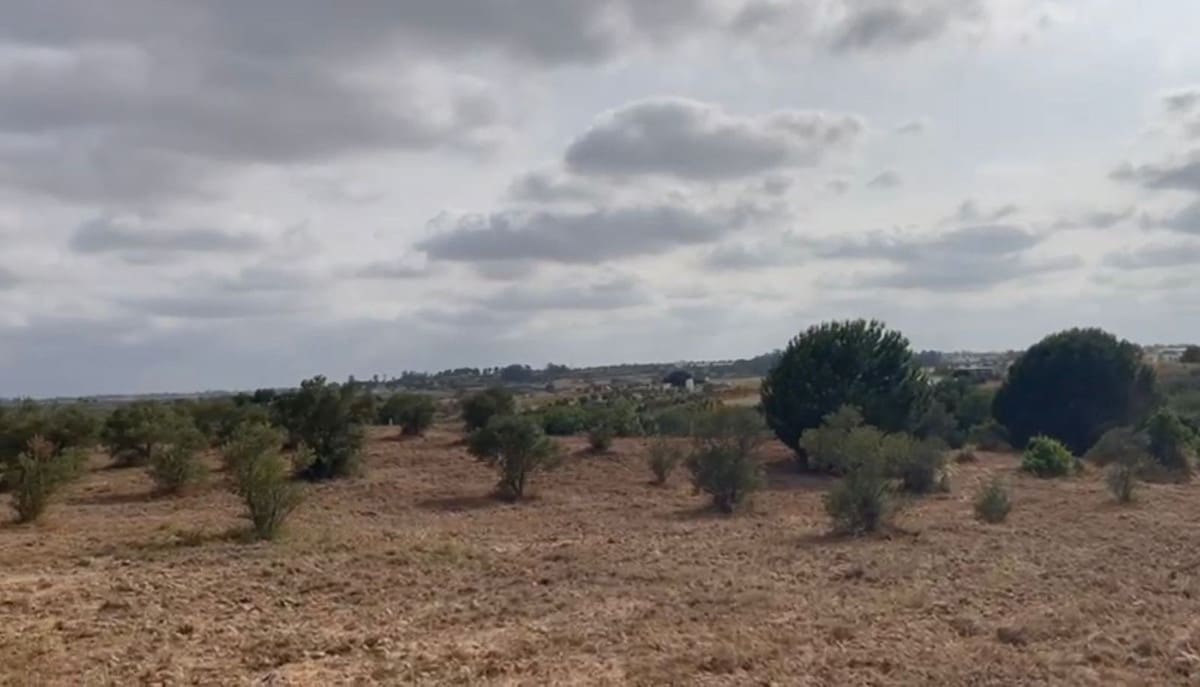 Terrain à Bâtir à vendre à La Palma del Condado - 28 000 € (Ref: 9699199)