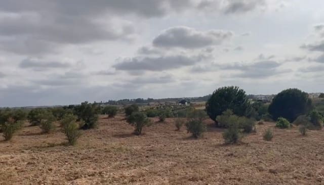 Terrain à Bâtir à vendre à La Palma del Condado - 28 000 € (Ref: 9699199)