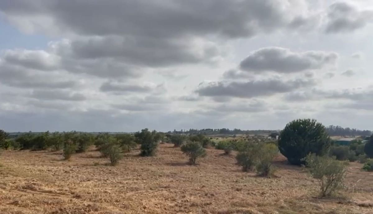 Terrain à Bâtir à vendre à La Palma del Condado - 28 000 € (Ref: 9699199)