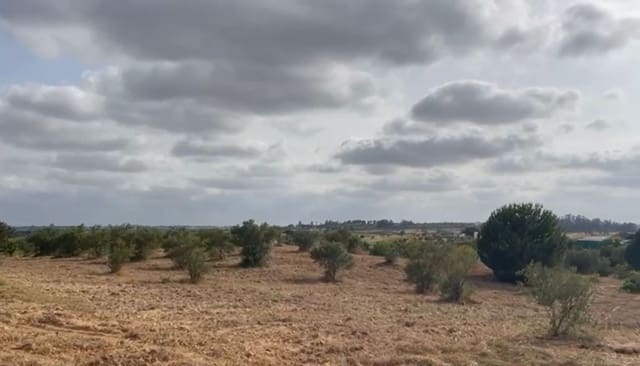 Terrain à Bâtir à vendre à La Palma del Condado - 28 000 € (Ref: 9699199)