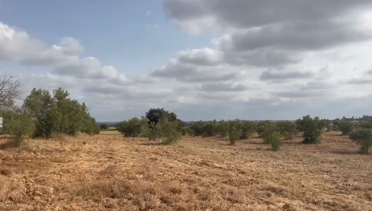 Terrain à Bâtir à vendre à La Palma del Condado - 28 000 € (Ref: 9699199)