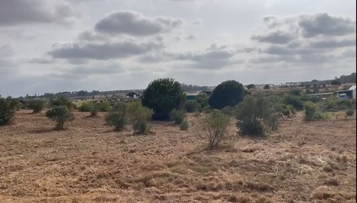 Terrain à Bâtir à vendre à La Palma del Condado - 28 000 € (Ref: 9699199)