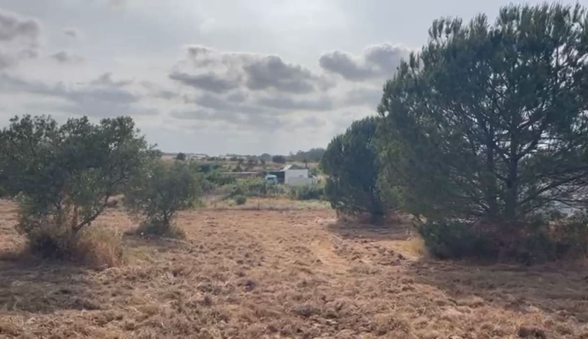 Terrain à Bâtir à vendre à La Palma del Condado - 28 000 € (Ref: 9699199)