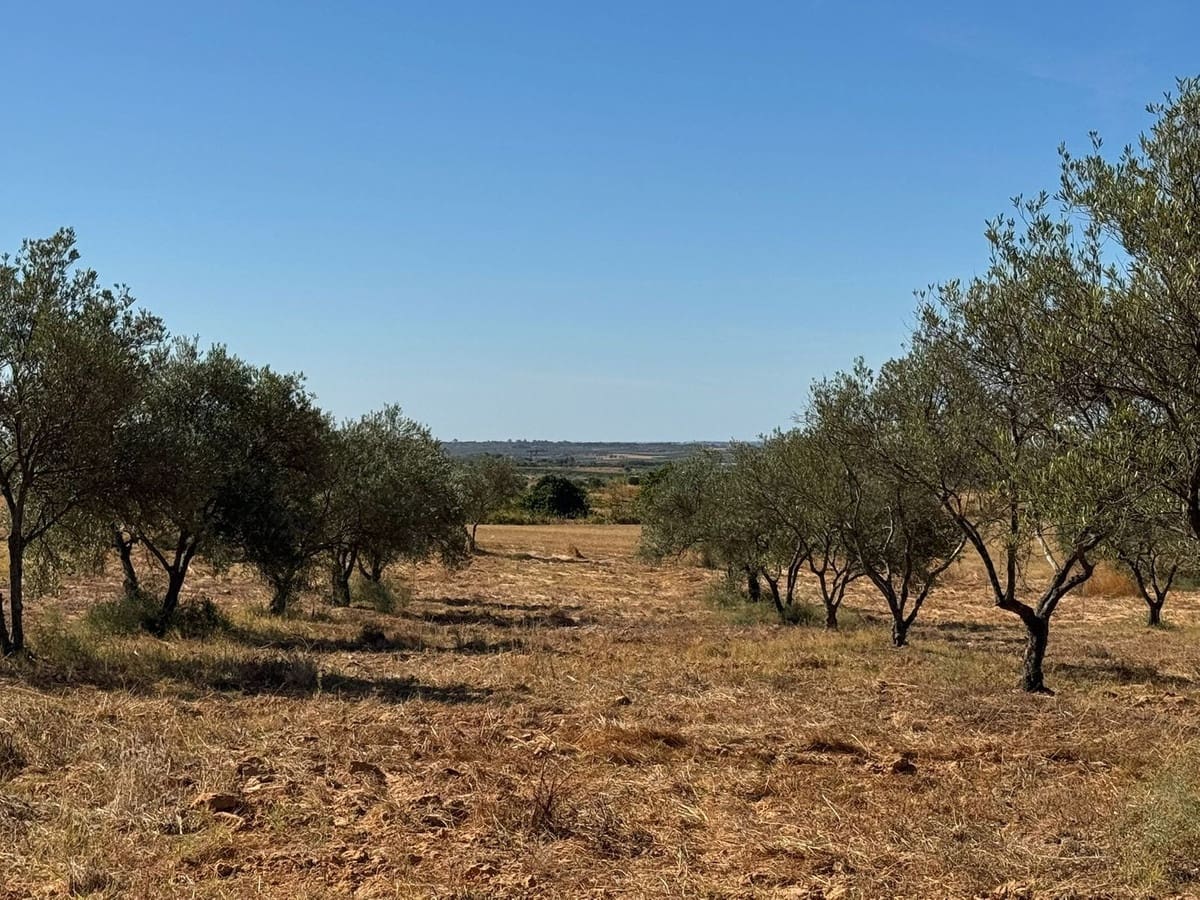 Terrain à Bâtir à vendre à La Palma del Condado - 28 000 € (Ref: 9699199)