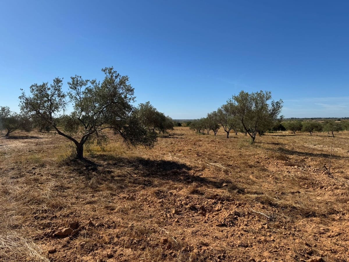 Terrain à Bâtir à vendre à La Palma del Condado - 28 000 € (Ref: 9699199)