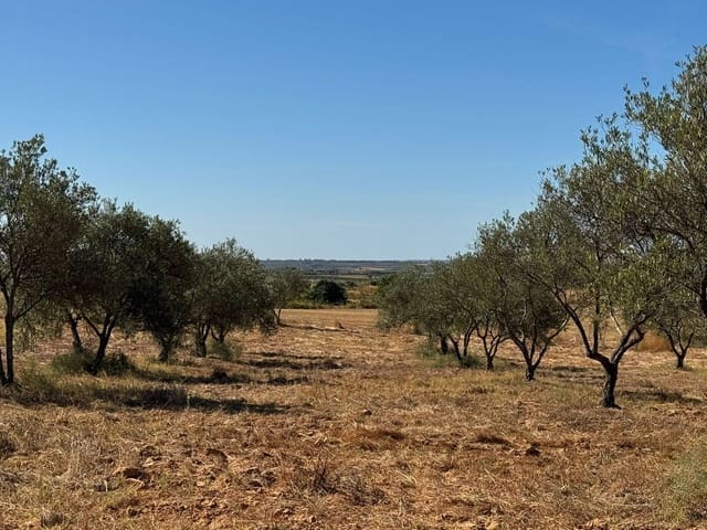 Terrain à Bâtir à vendre à La Palma del Condado - 28 000 € (Ref: 9699199)