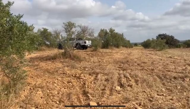 Byggegrund til salg i La Palma del Condado - € 28.000 (Ref: 9699199)