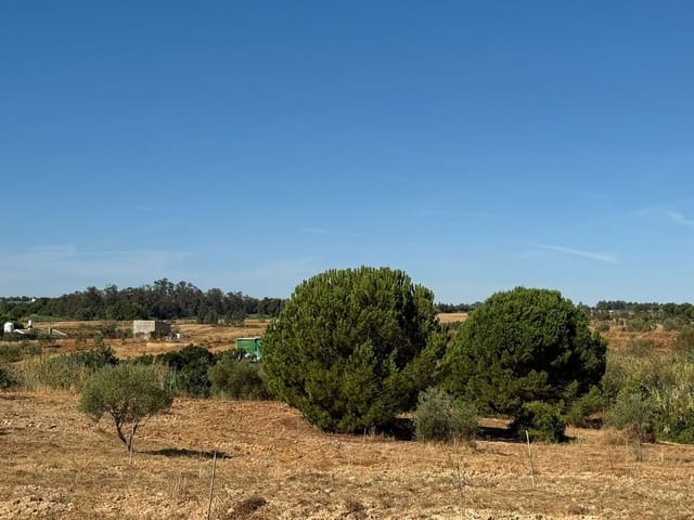 Solar/Parcela en La Palma del Condado en venta - 28.000 € (Ref: 9699199)