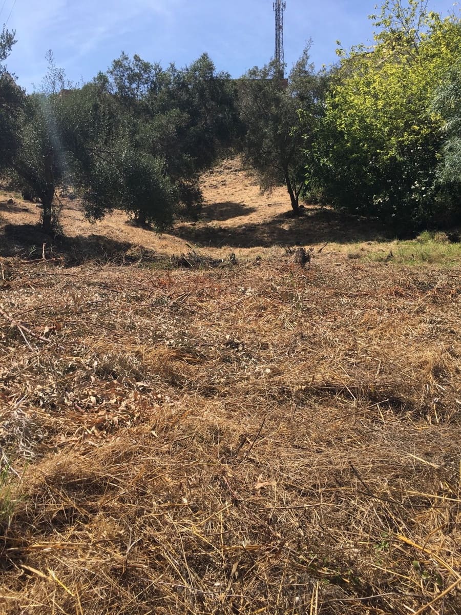 Building Plot for sale in Marbella - € 440,000 (Ref: 9699203)