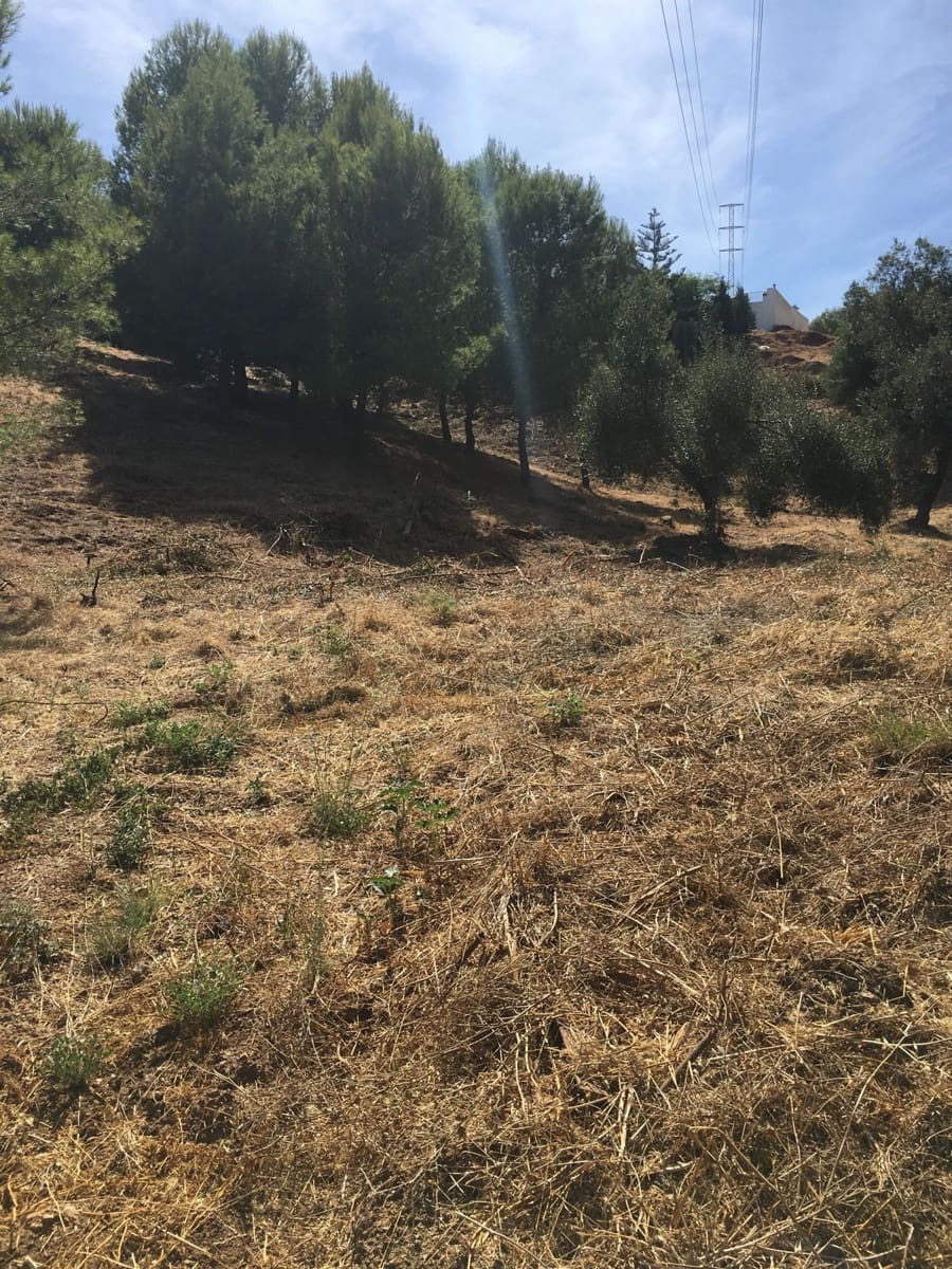 Terrain à Bâtir à vendre à Marbella - 440 000 € (Ref: 9699203)