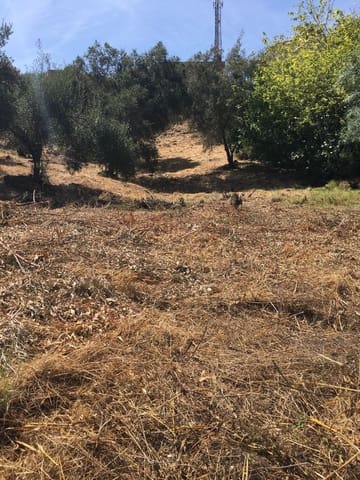 Bouwgrond te koop in Hacienda Las Chapas, Marbella - € 440.000 (Ref: 9699203)