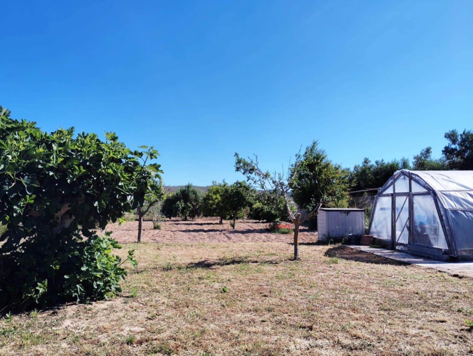 3 soverom Finca/Herregård til salgs i Teulada med svømmebasseng garasje - € 530 000 (Ref: 9022600)