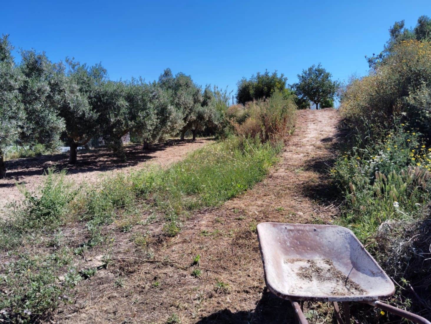 3 soverom Finca/Herregård til salgs i Teulada med svømmebasseng garasje - € 530 000 (Ref: 9022600)