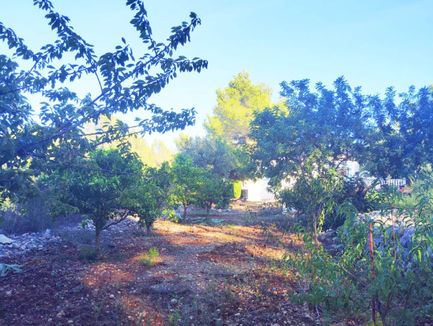 2 soveværelse Finca/Landehus til salg i Parcent med garage - € 330.000 (Ref: 9022635)