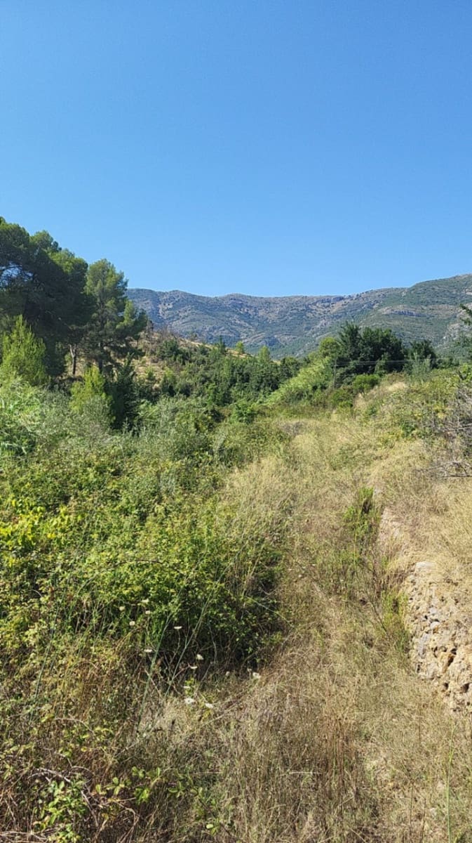 Bouwgrond te koop in Parcent - € 129.000 (Ref: 9160804)