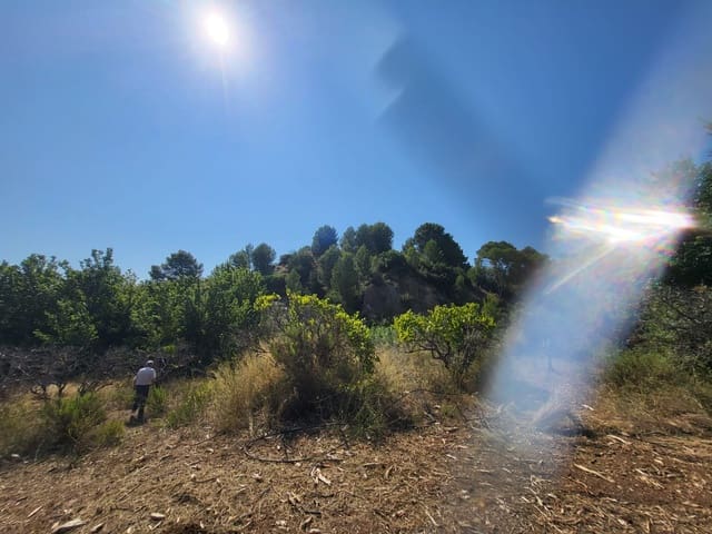 Bouwgrond te koop in Parcent - € 129.000 (Ref: 9160804)