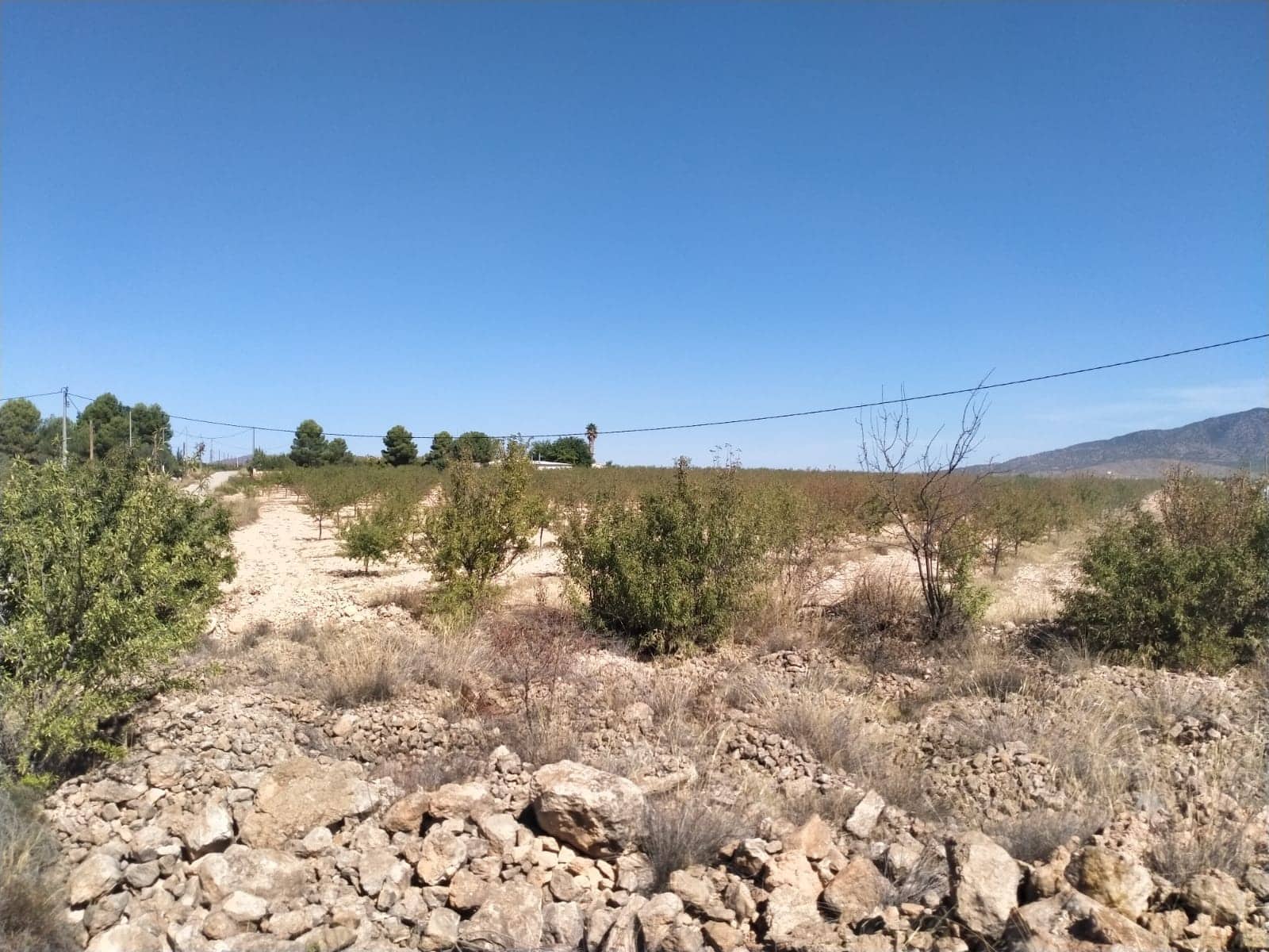 3 chambre Villa/Maison à vendre à Pinoso avec piscine garage - 401 500 € (Ref: 9271875)