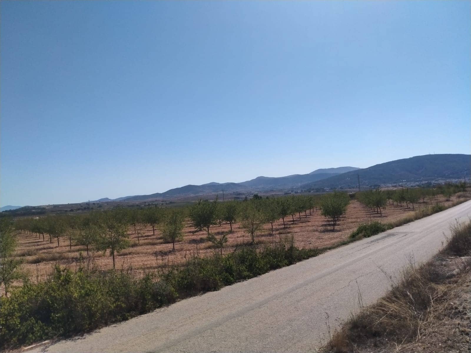 3 chambre Villa/Maison à vendre à Pinoso avec piscine garage - 401 500 € (Ref: 9271875)