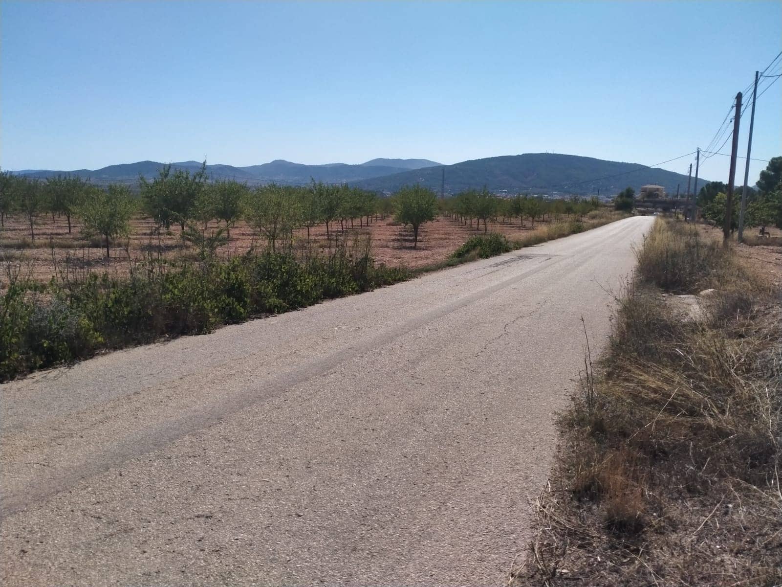 3 chambre Villa/Maison à vendre à Pinoso avec piscine garage - 401 500 € (Ref: 9271875)