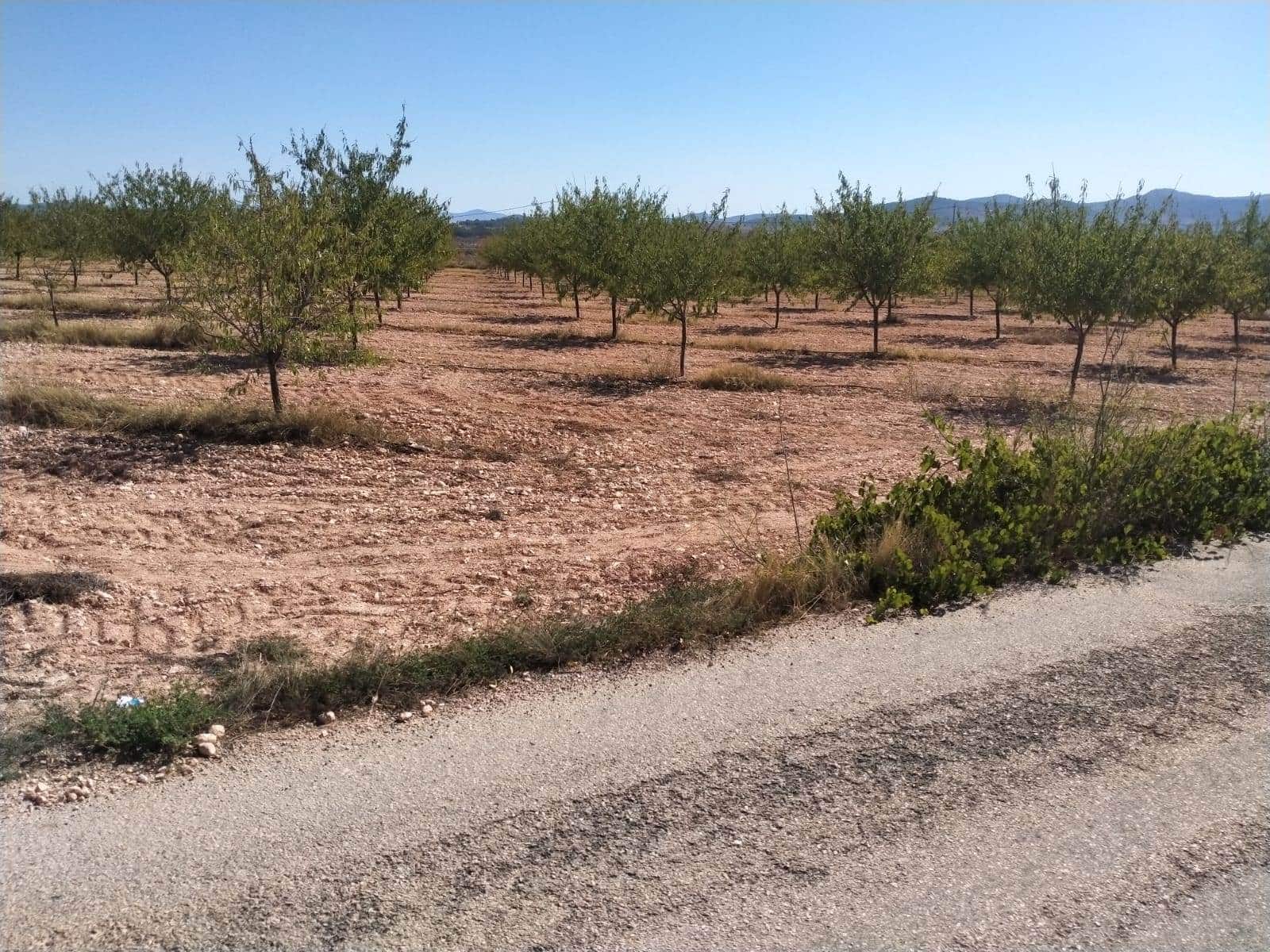 3 chambre Villa/Maison à vendre à Pinoso avec piscine garage - 401 500 € (Ref: 9271875)