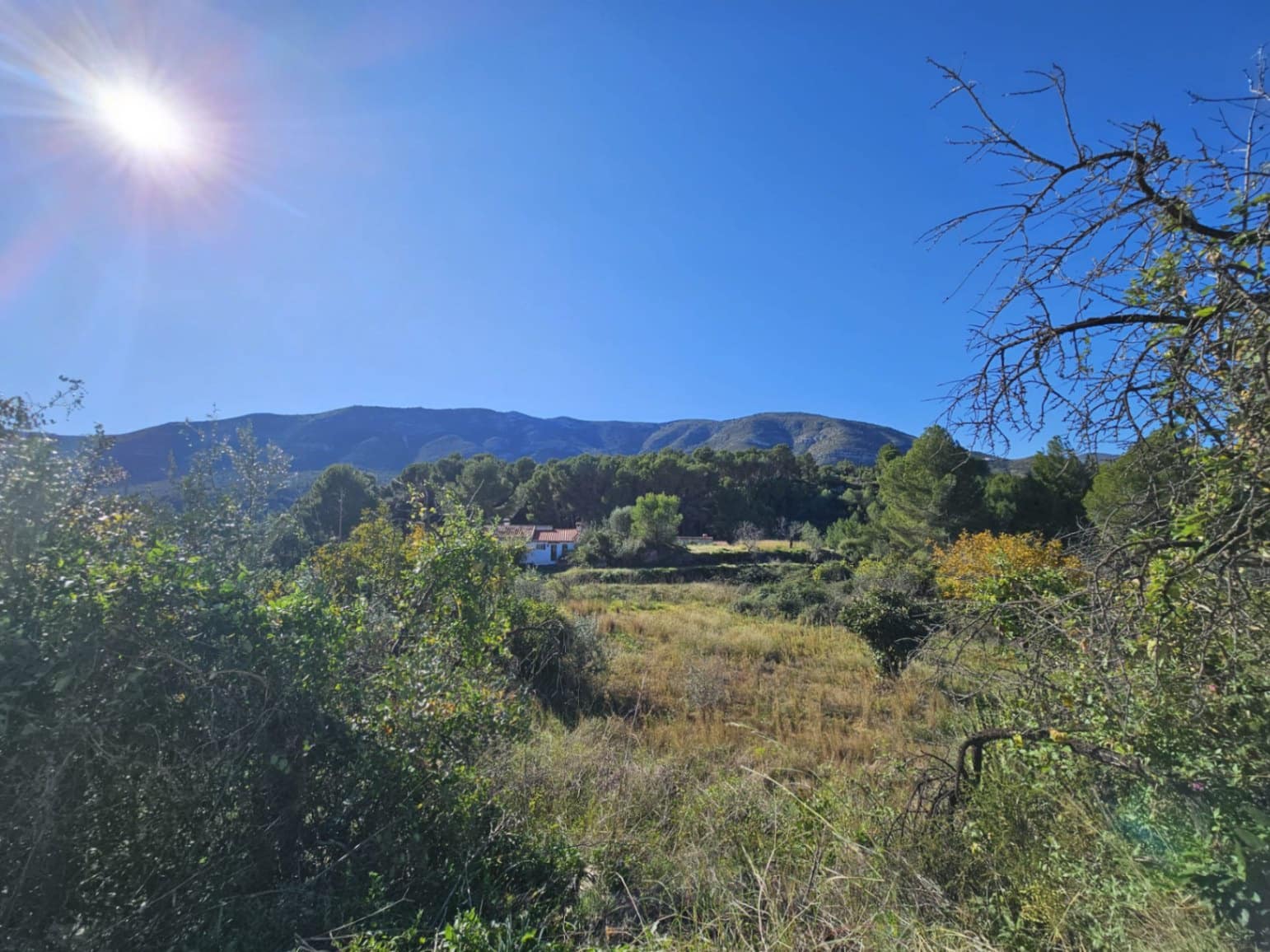 Terrain à Bâtir à vendre à Parcent - 89 000 € (Ref: 9451677)