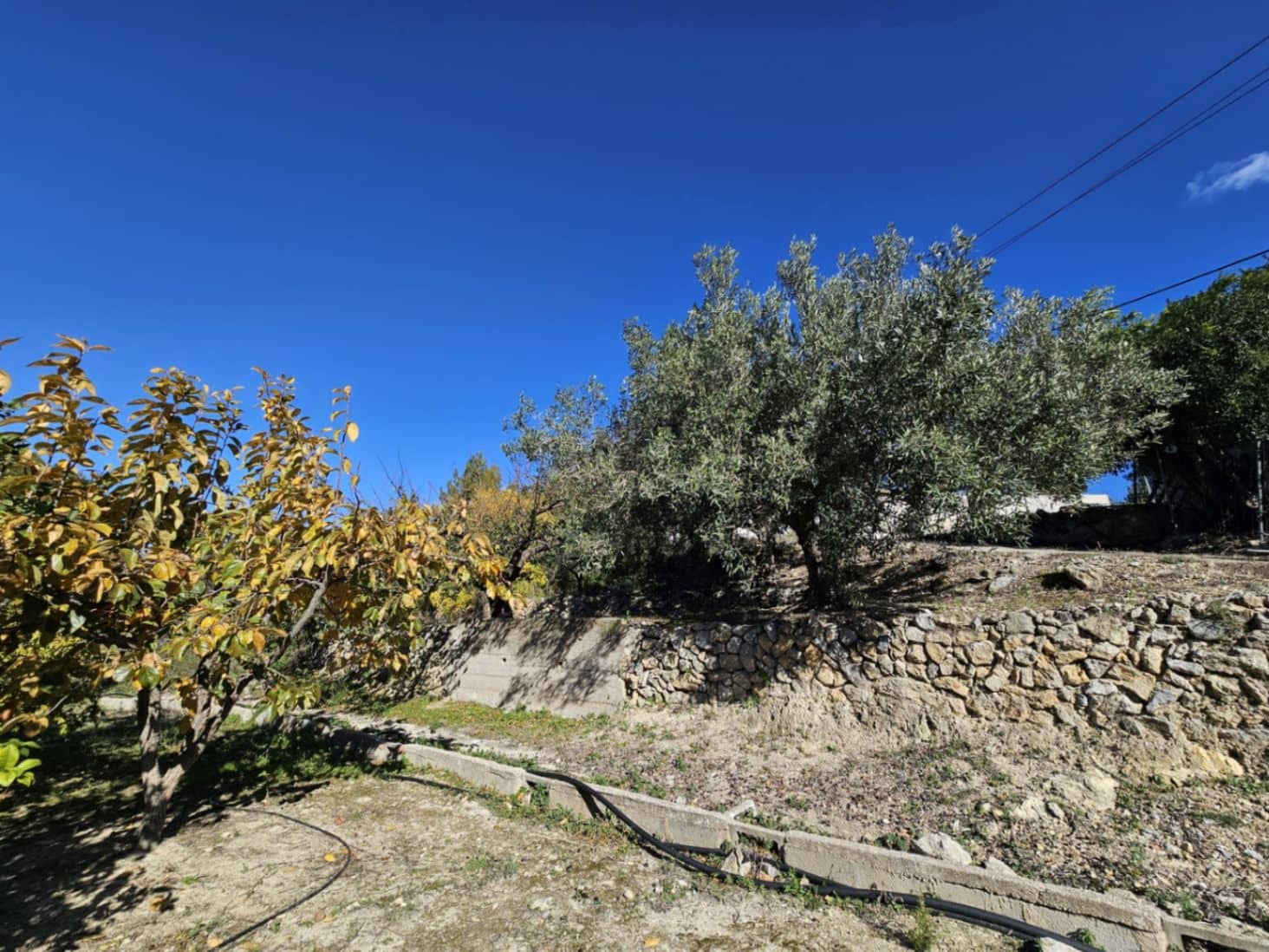 Terrain à Bâtir à vendre à Parcent - 89 000 € (Ref: 9451677)