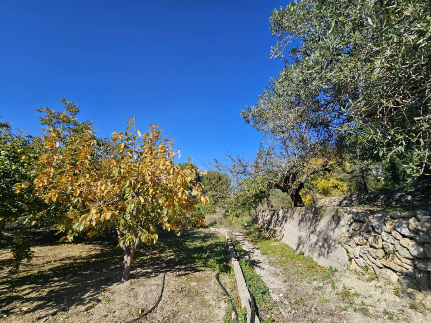 Terrain à Bâtir à vendre à Parcent - 89 000 € (Ref: 9451677)