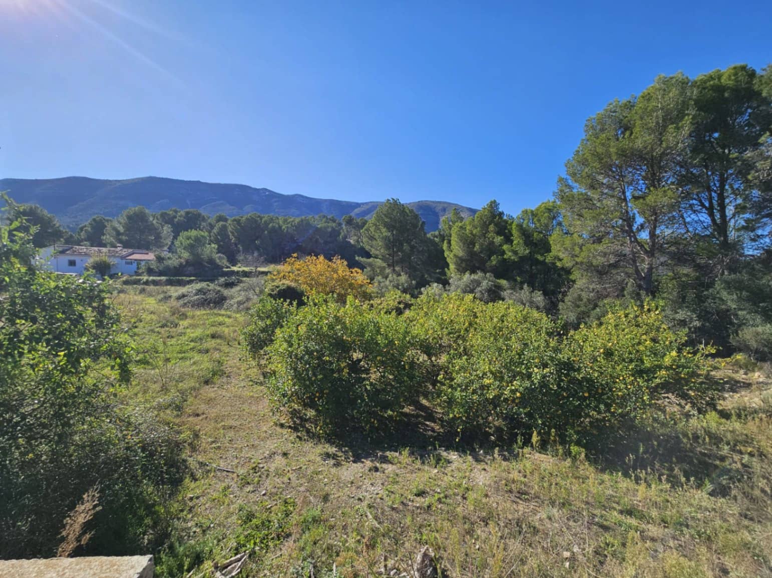 Terrain à Bâtir à vendre à Parcent - 89 000 € (Ref: 9451677)