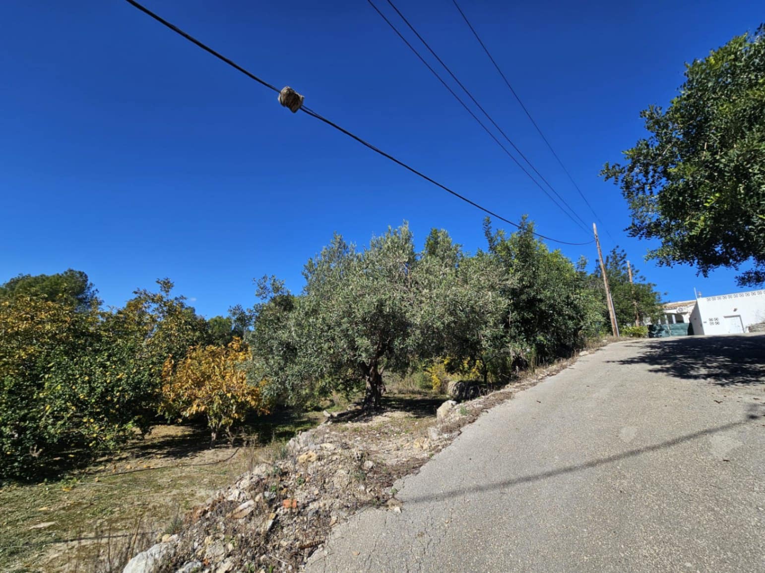 Terrain à Bâtir à vendre à Parcent - 89 000 € (Ref: 9451677)