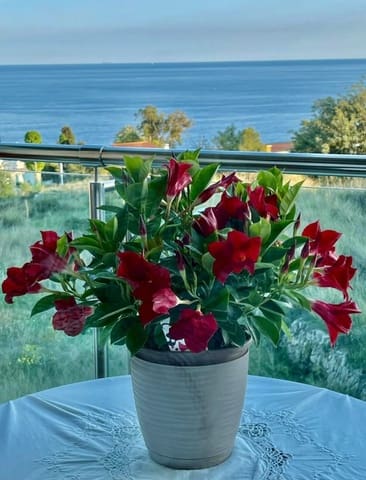 2 makuuhuone Huoneisto myytävänä paikassa Manzanera - Tosal, Calpe / Calp - 369 000 € (Ref: 9547763)