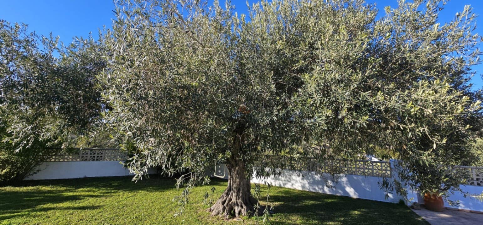 4 quarto Quinta/Casa Rural para venda em Benissa com piscina garagem - 639 000 € (Ref: 9598500)