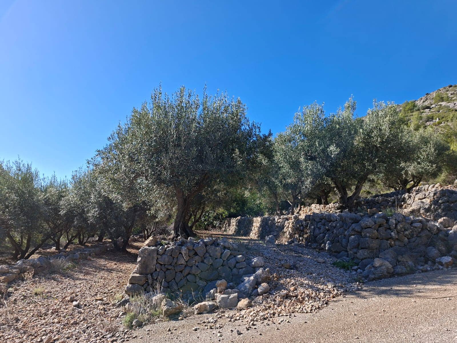 Finca/Casa Rural en Benigembla / Benichembla en venta - 170.000 € (Ref: 9627272)