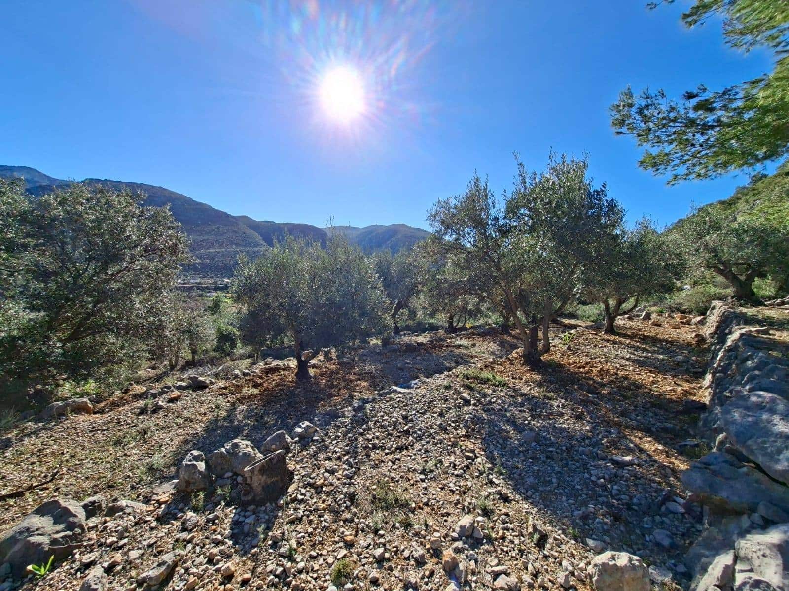 Finca/Casa Rural en Benigembla / Benichembla en venta - 170.000 € (Ref: 9627272)