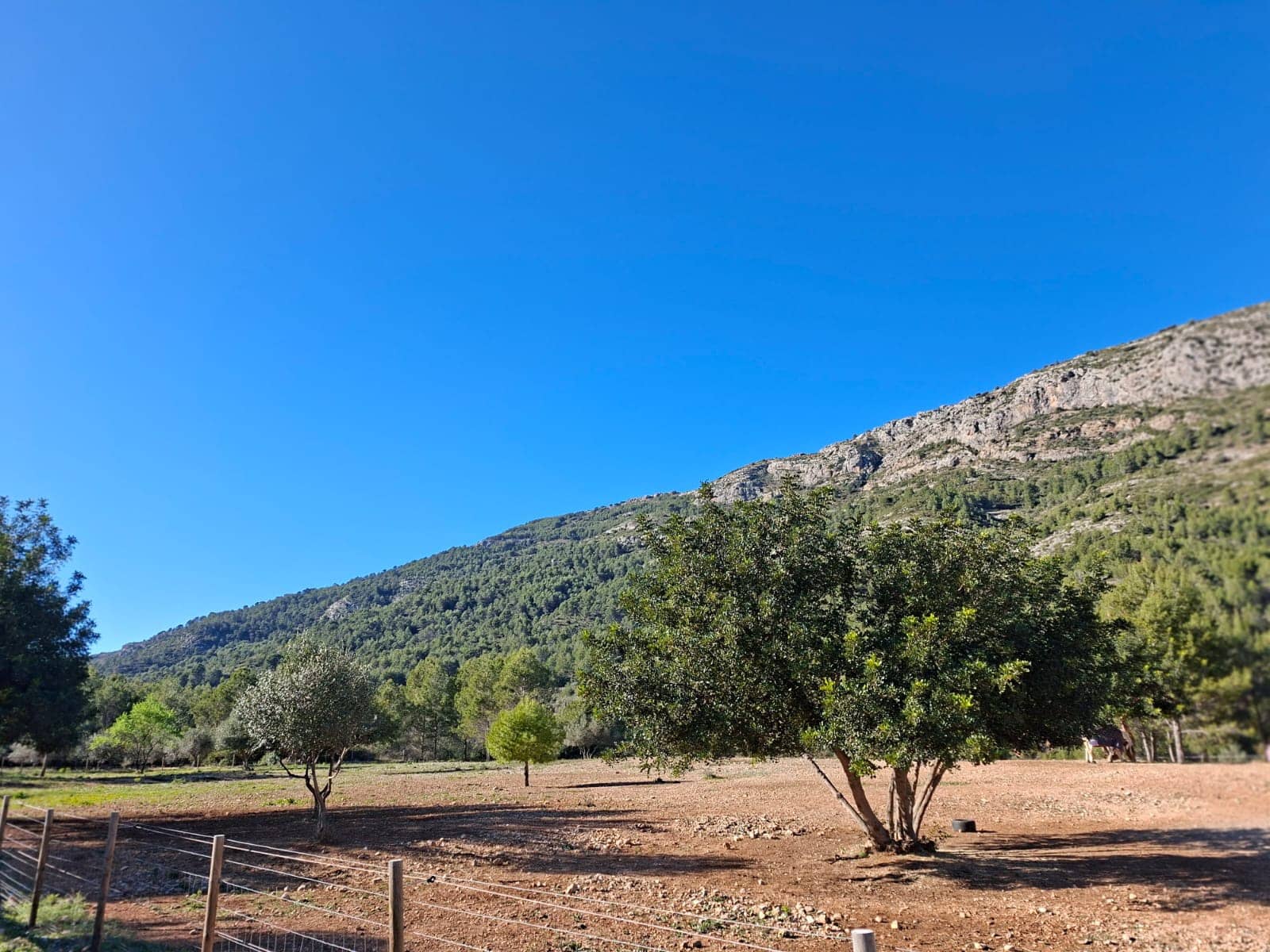 Finca/Casa Rural en Benigembla / Benichembla en venta - 170.000 € (Ref: 9627272)
