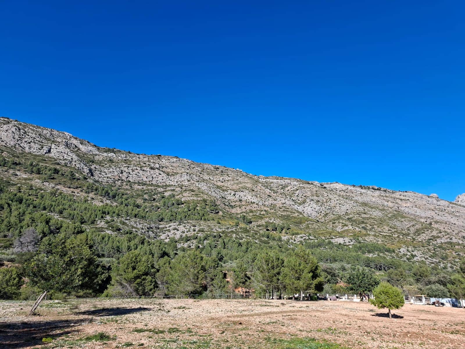 Finca/Casa Rural en Benigembla / Benichembla en venta - 170.000 € (Ref: 9627272)